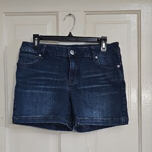 Denim Blue Women's Shorts, Size 8